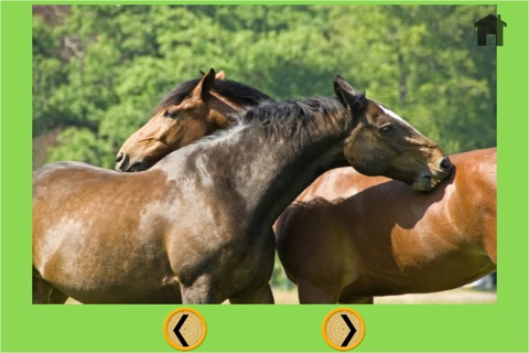 horses and darts for children - no ads screenshot 4