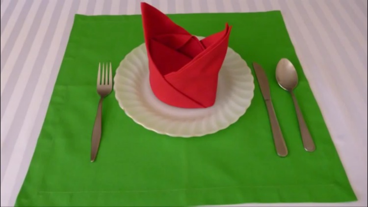 How To Fold Napkins screenshot-4