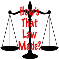 Activities of How's That Law Made?