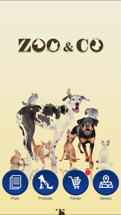 Zoo & Co