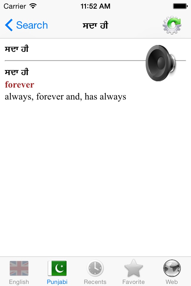 English Punjabi best dictionary screenshot 4