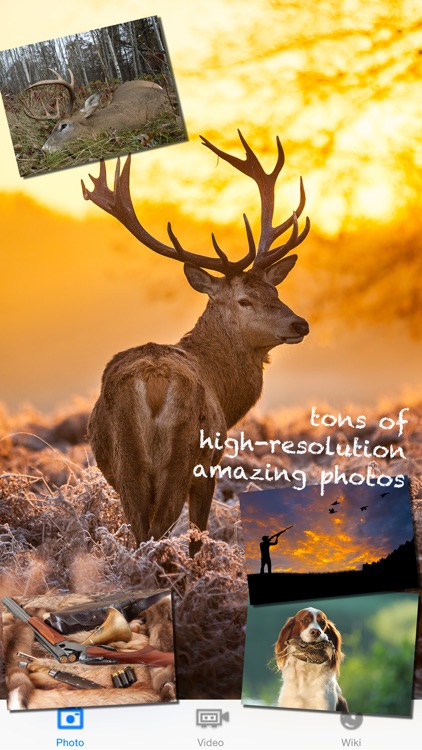 Hunting in the world