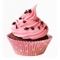 A collection of 109 brilliant cookery lesson videos on how to make great Ciupcakes