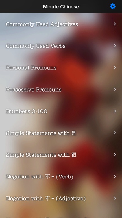 Minute Chinese for Beginners screenshot-3