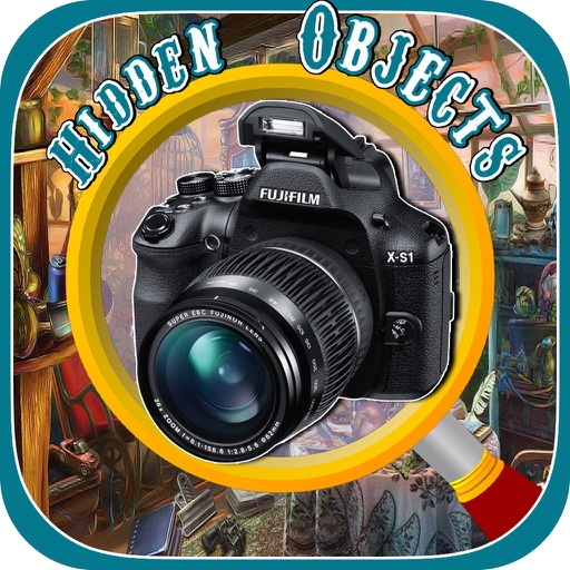 Hidden Objects The Lost Tourist Icon