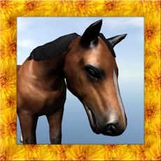 Activities of Mustang Horse Simulator 3D