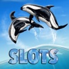 Crossed Dolphins Slots - FREE Las Vegas Casino Premium Edition