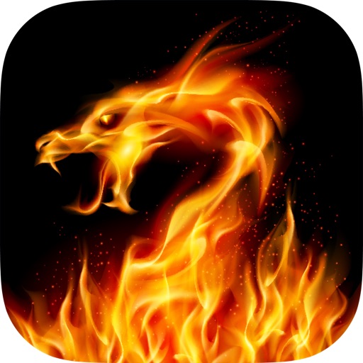 Dragon Wallpapers, Themes and Backgrounds - Download Free HD Dragons Pics