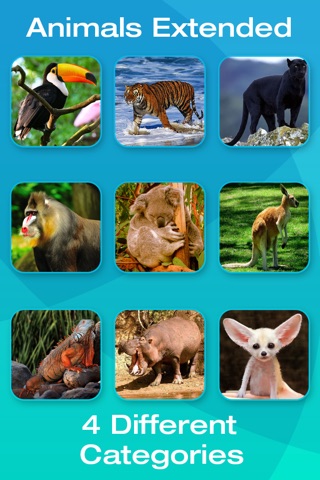 Safari and Jungle Animal Picture Flashcards for Babies, Toddlers or Preschool screenshot 4