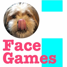 Activities of FaceGames