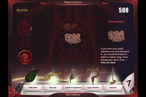 Evolutionary Anatomy screenshot 4