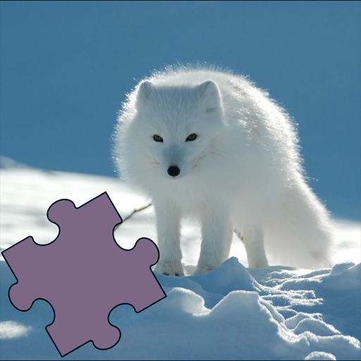 Animals Best Puzzle Icon