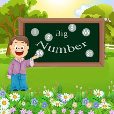 Activities of Big Number - Find Max