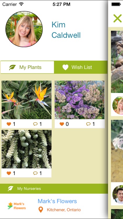 Plantola - discover plants. Catalog and share your garden with gardeners and local garden centers. screenshot-3