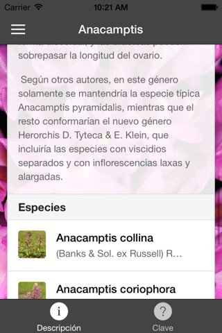 Orquídeas Ibéricas screenshot 3