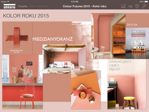 Sikkens Color Concepts screenshot 2