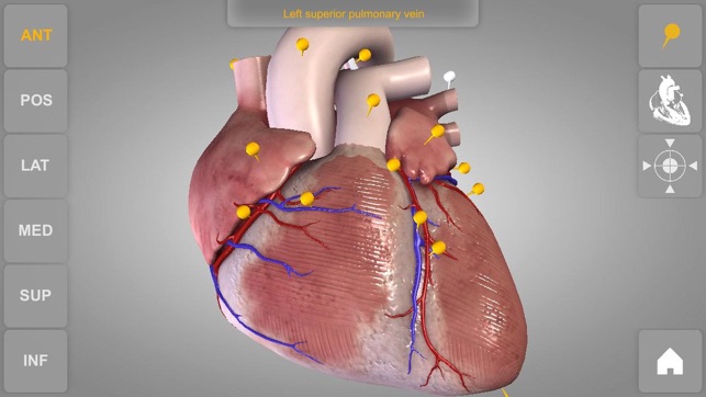 Heart - 3D Atlas of Anatomy Lite(圖1)-速報App