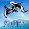 Jumping Killer Whale Slots - FREE Casino Machine For Test Your Lucky