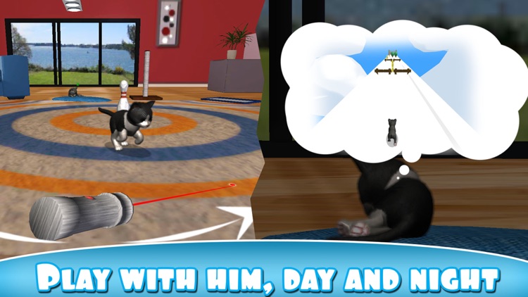 Daily Kitten : virtual cat pet