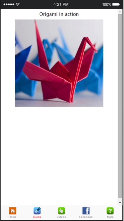 How To Make Origami - Learn Origami Folding Instructions screenshot-3