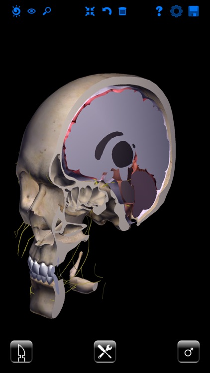 Zygote 3D Anatomy Atlas & Dissection Lab screenshot-0