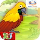 Cerita Anak: Asal Usul Burung Cendrawasih