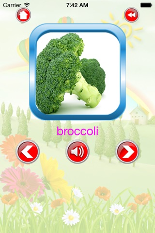 Vegetables For Kid - Educate Your Child To Learn English In A Different Way screenshot 3