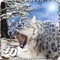 Snow Leopard Survival Attack -  Wild Siberian Beast Hunting Attack Simulation 2016