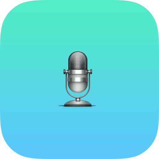 Recorder Voice Pro