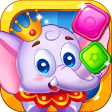 Activities of Pet Circus