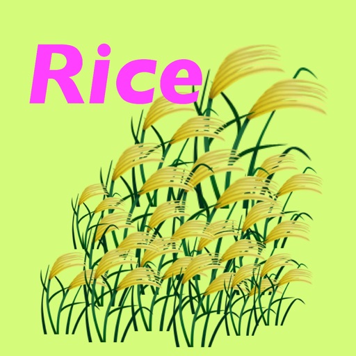 Rice Color Scale