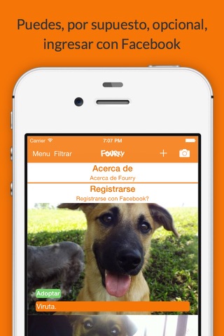 Fourry – Adopta o Salva una Mascota! screenshot 3