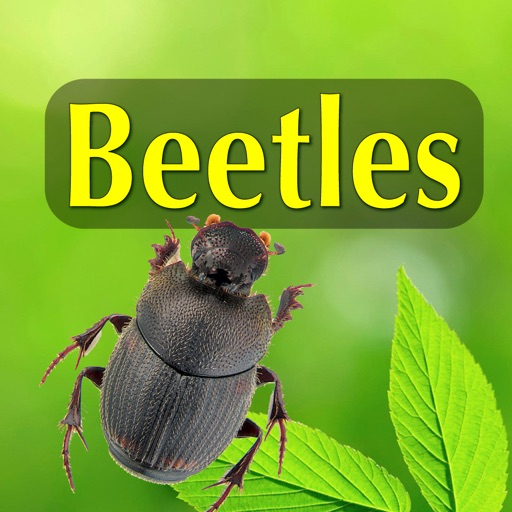 Beetles - An Introduction to North American Species iOS App