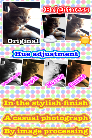 Photo Arrangement LITE screenshot 2