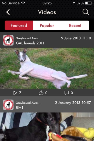 Greyhound Awareness League screenshot 4