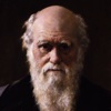 Darwin - interactive encyclopedia