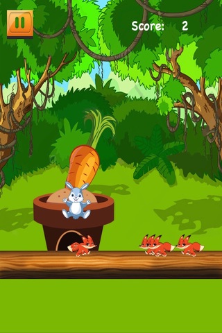 A Fun Forrest Bunny Bounce - Magical Pet Jump Challenge screenshot 3