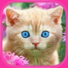 Cats & Kittens Puzzles - Logic Game for Toddlers, Preschool Kids, Little Boys and Girls
