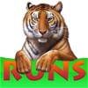Tiger Runs