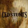 CEDSTUNTS