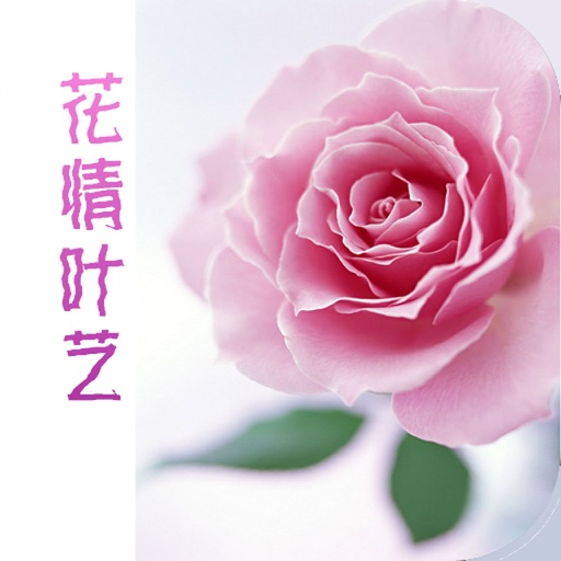 上海鲜花速递 icon