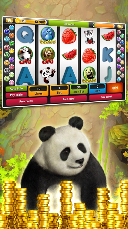 Wild Panda Free Slots No Download