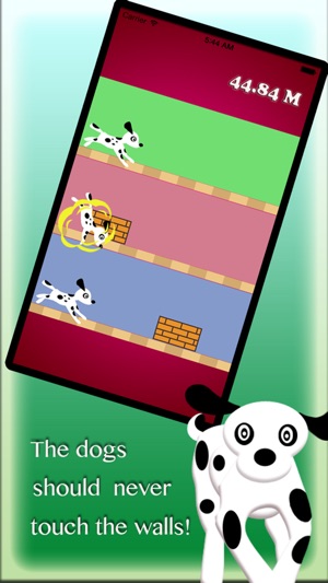 Make three dogs in temple jump(圖2)-速報App