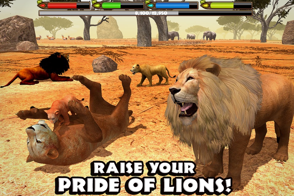 Ultimate Lion Simulator screenshot 3