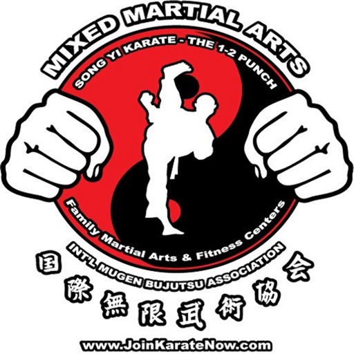 The 1-2 Punch Martial Arts