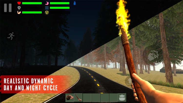 The Survivor: Rusty Forest