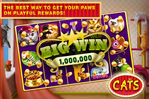 Cats Free Slots Casino Machines Jackpot screenshot 2