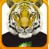 Tiger Sticker Fun