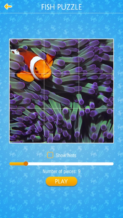 Fish Jigsaw Puzzles screenshot-4