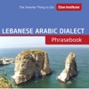 Lebanese Arabic Dialect Phrasebook - Eton Institute